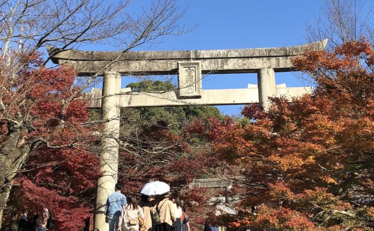 竈門神社鳥居